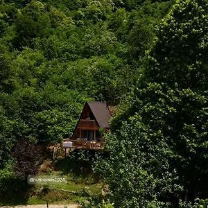 زيارة الفندق